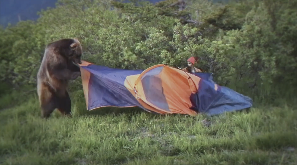 Scene from AXA AD a bear is eating a camp tent
